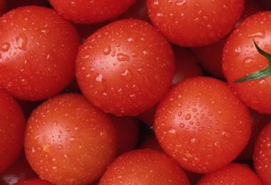 Можно ли беременным есть помидоры (свежие и соленые)?